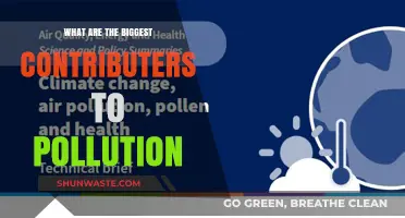 Human Activities: Major Pollution Contributors