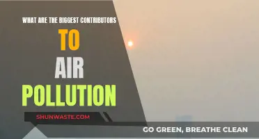 Human Activities and Air Pollution: Major Contributors