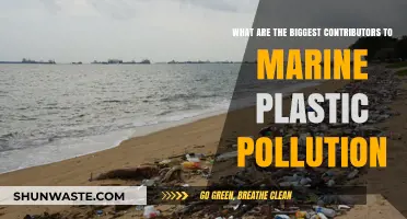 Sources of Marine Plastic Pollution Revealed