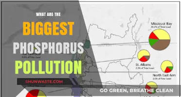 Phosphorus Pollution: The Most Devastating Sources