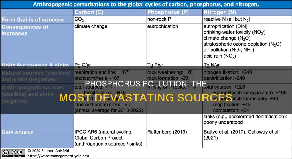 what are the biggest phosphorus pollution