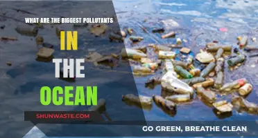 Ocean Pollutants: The Worst Offenders Revealed