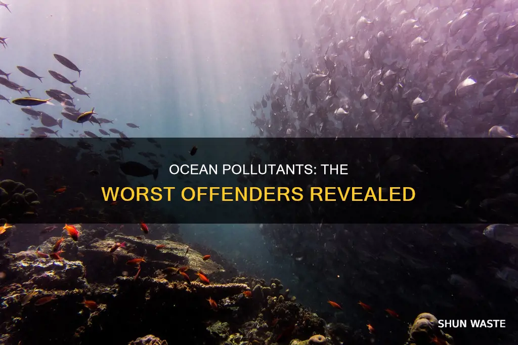 what are the biggest pollutants in the ocean