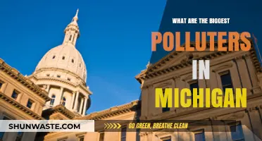 Who Pollutes Michigan's Environment the Most?