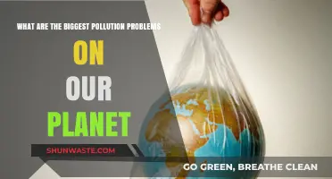 Pollution's Dire Impact: Our Planet's Biggest Challenges