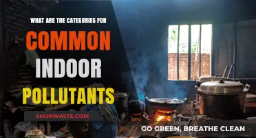 Understanding Indoor Air Pollutants: Sources and Categories