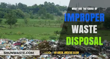 The Root Causes of Improper Waste Disposal: A Comprehensive Analysis