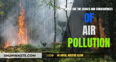 Air Pollution: Causes, Effects, and Our Future