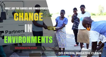 Environmental Shifts: Unraveling Causes and Impacts on Ecosystems and Life