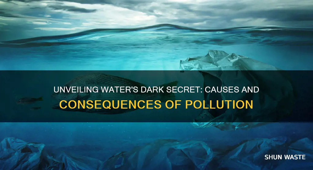 what are the causes and consequences of water pollution