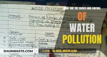 Unveiling Water's Dark Secrets: Causes and Solutions for Pollution