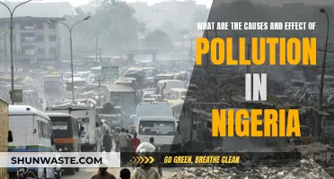 Nigeria's Pollution Crisis: Unraveling Causes and Impact