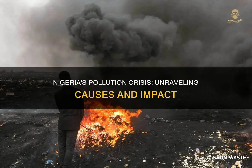 what are the causes and effect of pollution in nigeria