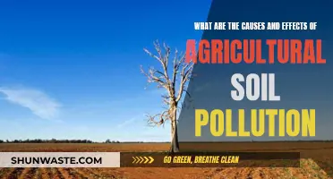 Agricultural Soil Pollution: Causes, Effects, and Sustainable Solutions