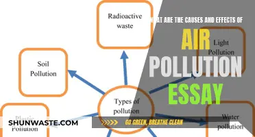 Unveiling Air Pollution's Impact: Causes and Consequences