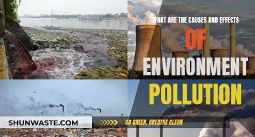 Unveiling the Impact: Causes and Effects of Environmental Pollution