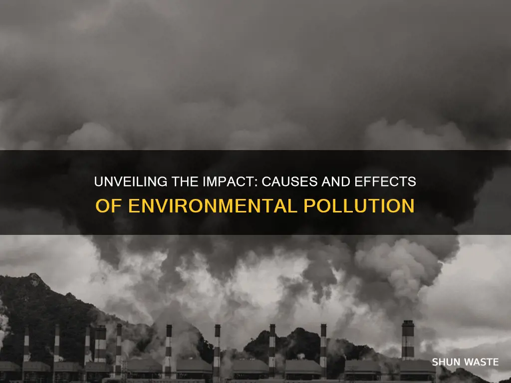 what are the causes and effects of environmental pollution