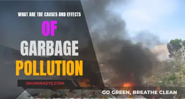 Unveiling the Impact: Causes and Effects of Garbage Pollution