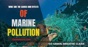 Unveiling the Impact: Marine Pollution's Devastating Causes and Effects