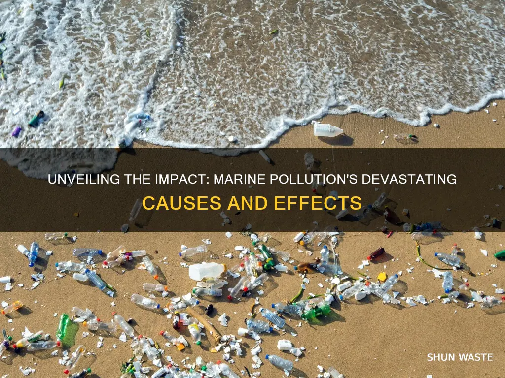 what are the causes and effects of marine pollution