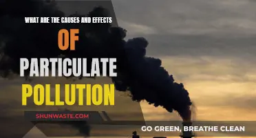 Unveiling Particulate Pollution: Causes, Impact, and Solutions