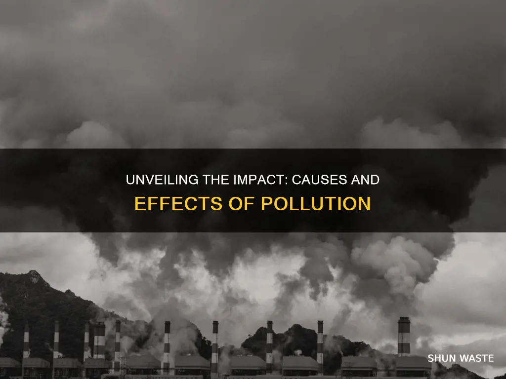 what are the causes and effects of pollution essay