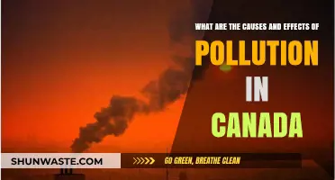 Canada's Pollution Crisis: Uncovering Causes and Consequences