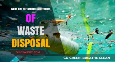 The Impact of Waste Disposal: Causes and Consequences Explored