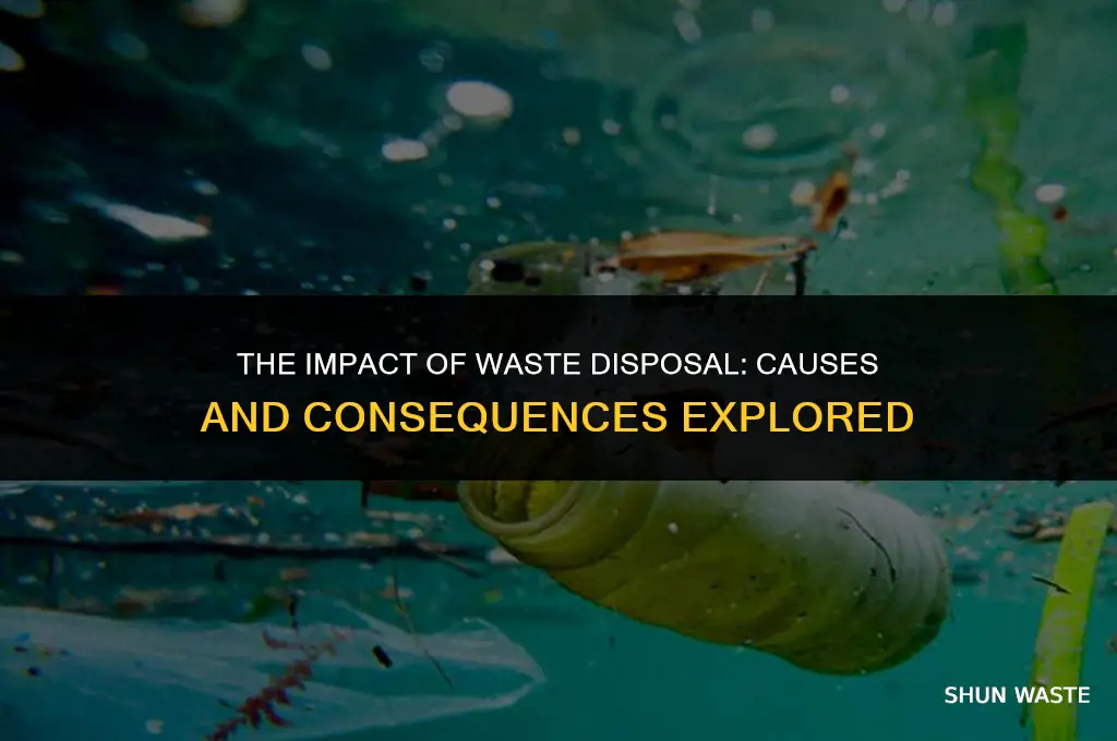 what are the causes and effects of waste disposal