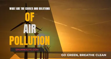 Breathing Clean: Unveiling Air Pollution's Causes and Solutions