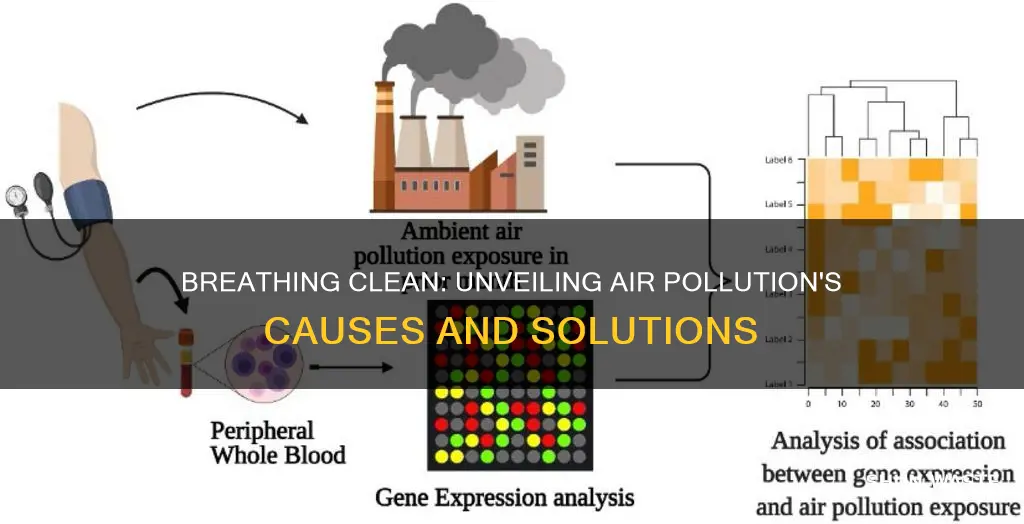 what are the causes and solutions of air pollution