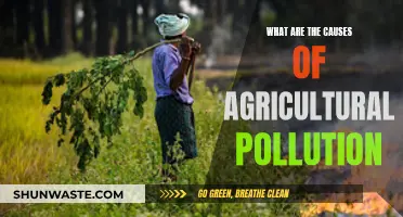 Unveiling Agricultural Pollution: Causes and Solutions