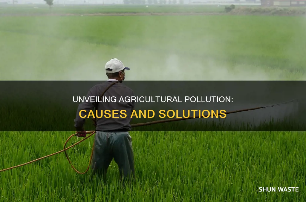 what are the causes of agricultural pollution