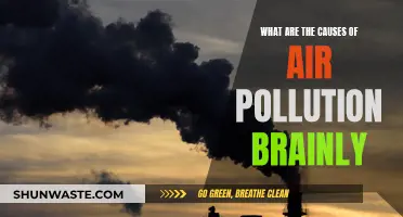 Unveiling the Complex Web: Causes of Air Pollution Explored