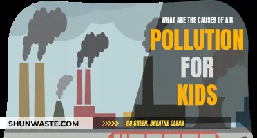 Unveiling the Hidden Causes of Air Pollution: A Kid-Friendly Guide