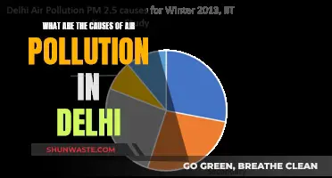 Unveiling Delhi's Air Pollution: Sources and Solutions