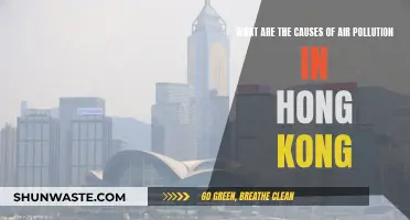 Unveiling Hong Kong's Air Pollution: Sources and Solutions