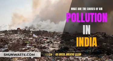 Air Pollution in India: Understanding the Root Causes