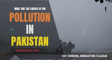 Unveiling Pakistan's Air Pollution Crisis: Sources and Solutions