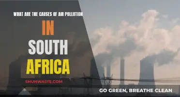 Unveiling South Africa's Air Pollution Crisis: Causes and Solutions