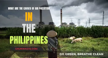 Unveiling the Sources: Air Pollution's Complex Causes in the Philippines