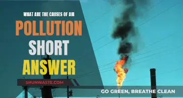 Unveiling the Hidden Causes of Air Pollution