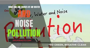 Unveiling the Sources: Causes of Air, Water, and Noise Pollution