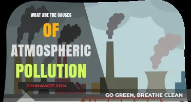 Unveiling the Complex Web: Causes of Atmospheric Pollution