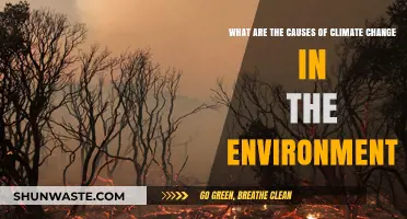 Understanding the Key Drivers of Environmental Climate Change