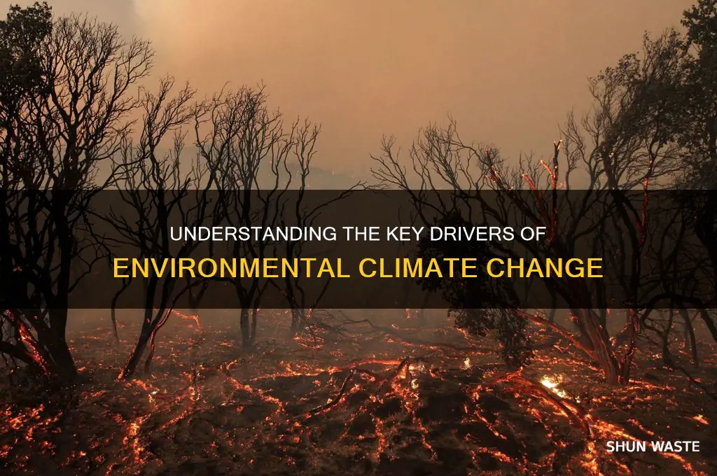 what are the causes of climate change in the environment