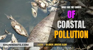 Unveiling the Hidden Causes of Coastal Pollution: A Comprehensive Guide