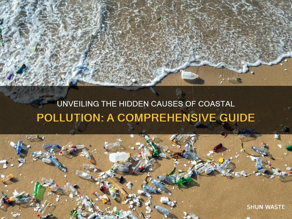 what are the causes of coastal pollution