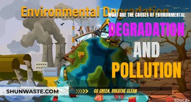 Unveiling the Complex Web: Causes of Environmental Degradation and Pollution