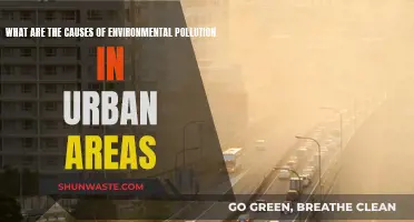 Unveiling Urban Pollution: Sources and Solutions for a Greener Future